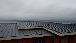 Best Emergency Roof Repair Services  in Socorro, TX